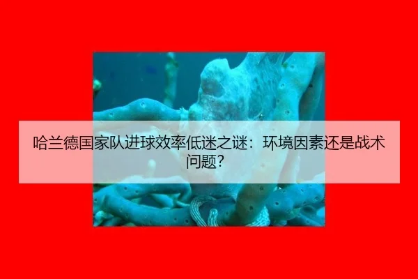 ha-lan-de-guo-jia-dui-jin-qiu-xiao-lv-di-mi-zhi-mi-huan-jing-yin-su-hai-shi-zhan-shu-wen-ti-2-656.jpg