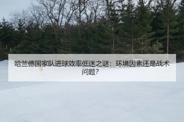 ha-lan-de-guo-jia-dui-jin-qiu-xiao-lv-di-mi-zhi-mi-huan-jing-yin-su-hai-shi-zhan-shu-wen-ti-3-682.jpg