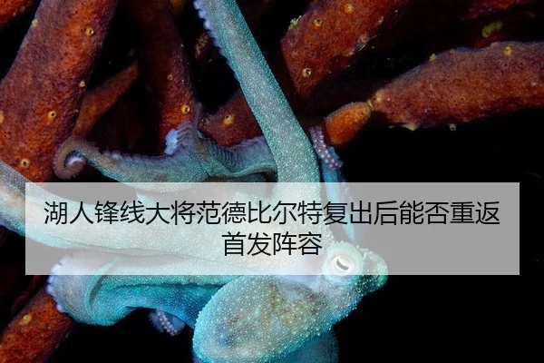 hu-ren-feng-xian-da-jiang-fan-de-bi-er-te-fu-chu-hou-neng-fou-chong-fan-shou-fa-zhen-rong-2-970.jpg