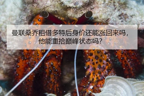 man-lian-sang-qiao-zu-jie-duo-te-hou-shen-jia-hai-neng-zhang-hui-lai-ma-ta-neng-zhong-shi-dian-feng-zhuang-tai-ma-2-372.jpg